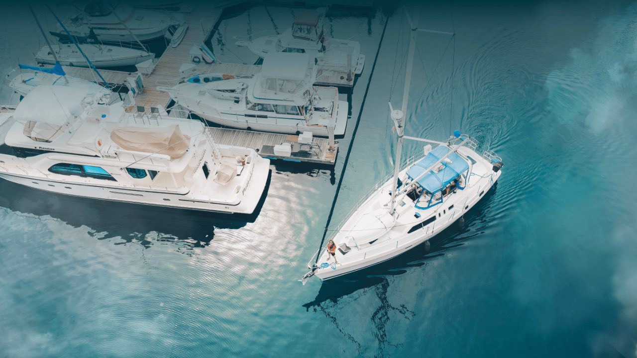 z5243021691346_78453f765ace8d08661b94f32aa94805